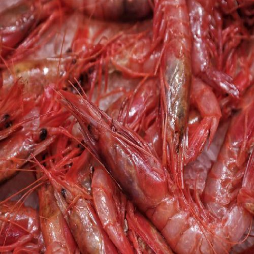 Red shrimp (PVP/Kg)